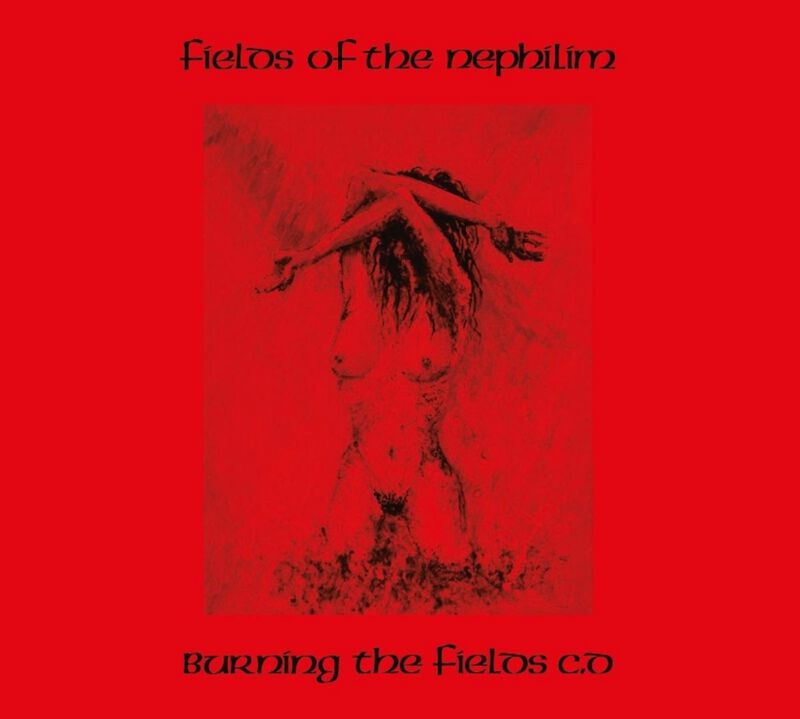 5013145214220 - Burning the fields CD multicolor