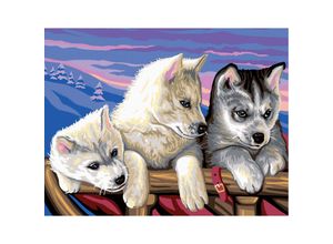 5013634010364 - Malen nach Zahlen mit Acrylfarben Huskies 38 x 29 cm