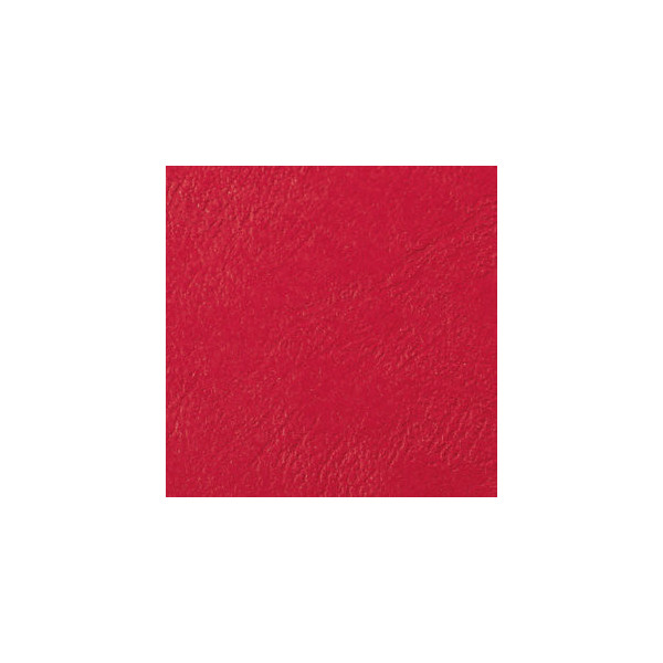 5019577221805 - Umschlagkarton LeatherGrain CE040031 A4 Karton 250 g m² rot Lederstruktur 5019577221805 100 Stück