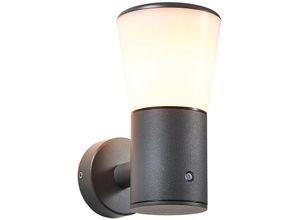 5020024709951 - Forum Lighting - Forum Gamma Fotozelle Outdoor Moderne Wandleuchte Anthrazit IP44