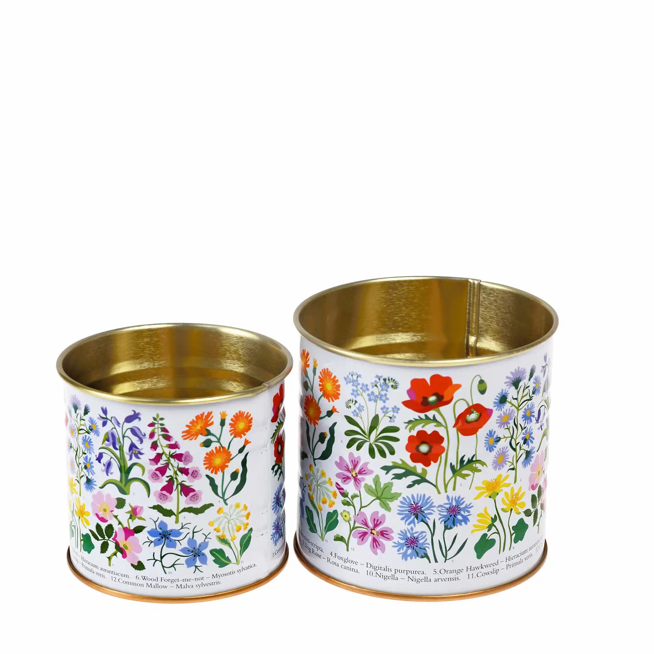 5027455439747 - Aufbewahrungsbox aus Metall Wild Flowers (x2)