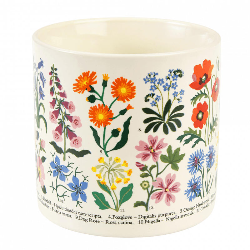 5027455440569 - Tasse Wild Flowers