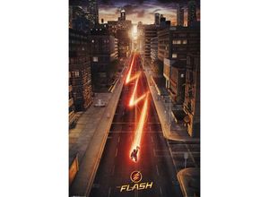 5028486286256 - The Flash Poster Hauptplakat