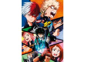 5028486408207 - My Hero Academia Poster Charaktere