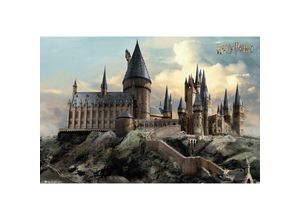 5028486417810 - Harry Potter Poster Hogwarts Day