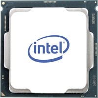 5032037126632 - Xeon E-2176G CPU - 6 Kerne - 37 GHz - LGA1151 - Boxed (mit Kühler)