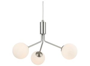 5036797154737 - Firstlight Products - Firstlight Montana 3 Lichtkugelfassung aus gebürstetem Stahl mit opalweißem Glas 5036797154737 - Firstlight Products - Firstlight Montana 3 Lichtkugelfassung aus gebürstetem Stahl mit opalweißem Glas