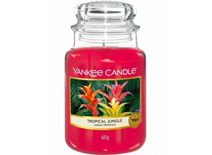 5038581033709 - 623g - Tropical Jungle - Housewarmer Duftkerze großes Glas - Yankee Candle