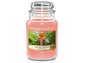 5038581111070 - 623g - The Last Paradise - Housewarmer Duftkerze großes Glas - Yankee Candle