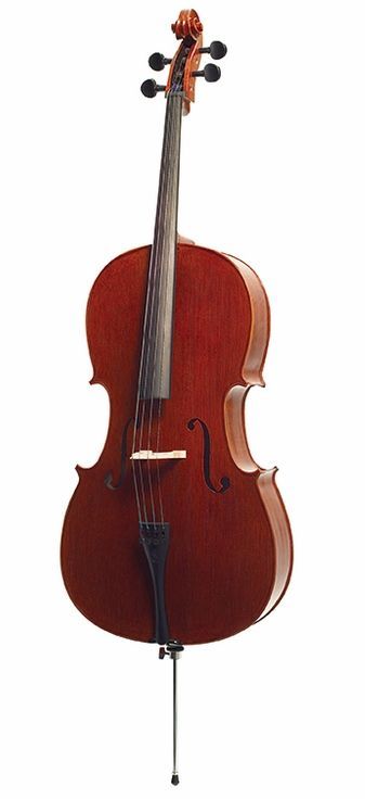 5050127095026 - Stentor Cello 4 4 Elysia SR-1591A Ebenholzgriffbrett Ebenholzwirbel