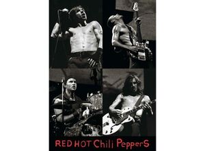 5050293107400 - - Red Hot Chili Peppers Poster Live - collage (b w)