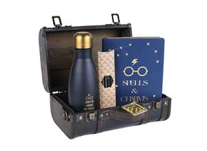 5050293855363 - Harry Potter (Trouble Finds Me) Premium Gift Set