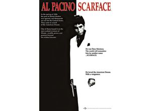 5050574300919 - - Scarface Cover Poster Al Pacino