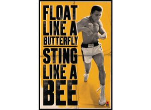 5050574316859 - - Muhammad Ali Float and Sting Poster Float like a butterfly sting lika a bee