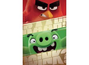 5050574338066 - Angry Birds Poster RAAH!