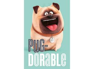 5050574338486 - - The Secret Life Of Pets Poster Pug-Dorable