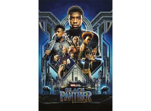 5050574342834 - - Black Panther Poster Charaktere