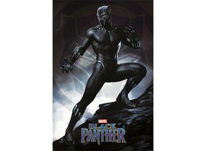 5050574342858 - - Black Panther Poster Stance