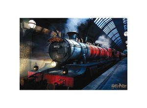 5050574343688 - - Harry Potter Poster Hogwarts Express