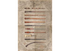 5050574343954 - - Harry Potter Poster The Wand Chooses The Wizard