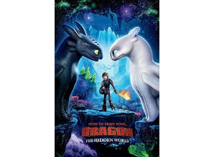 5050574344517 - - Drachenzähmen leicht gemacht 3 Die geheime Welt How To Train Your Dragon The Hidden World