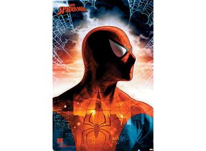 5050574345057 - Marvel Comics Spiderman Poster Protector Of The City