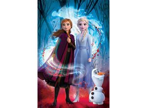 5050574345088 - - Frozen 2 Poster Guiding Spirit Elsa Anna & Olaf