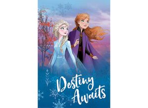 5050574345095 - - Frozen 2 Poster Destiny Awaits Elsa & Anna