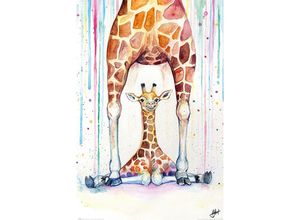 5050574345262 - Gorgeous Giraffes Poster Marc Allante