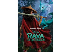 5050574347259 - - Raya and the Last Dragon Poster Warrior In The Wild