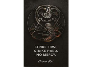 5050574347365 - Cobra Kai Poster Karate Kid Strike First Strike Hard