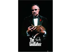 5050574348454 - - Der Pate Poster Katze Don Corleone (Marlon Brando)