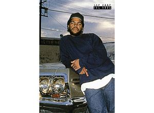 5050574348553 - - Ice Cube Poster Impala