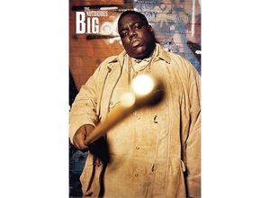 5050574348560 - - The Notorious big Poster Cane