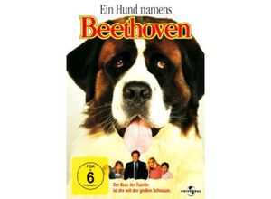 5050582821598 - Ein Hund namens Beethoven (DVD)