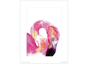 5051265444318 - - Tropical Flamingo Kunstdruck Sofie Rolfsdotter