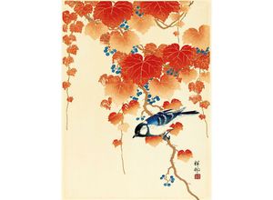 5051265448170 - - Bird and Red Ivy Kunstdruck Ohara Koson