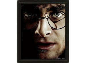 5051265850065 - - Harry Potter 3D Poster Harry vs Voldemort 3-D Lentikular-Poster im Rahmen