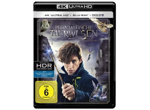 5051890307392 - Phantastische Tierwesen und wo sie zu finden sind (4K UHD) (Blu-ray)