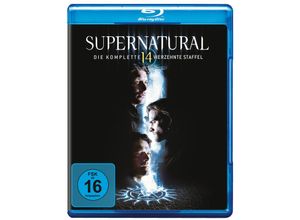 5051890320995 - Supernatural - Staffel 14 (Blu-ray)