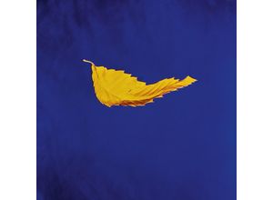 5054197635700 - True Faith(2023 Remaster) - New Order (LP)