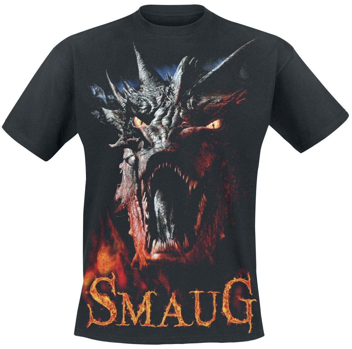 5055800666258 - Smaug T-Shirt schwarz in M