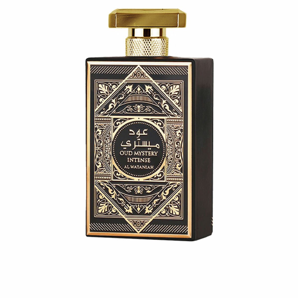 5055810030131 - Damenparfüm OUD MYSTERY INTENSE 100 ml