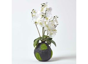 5055967490734 - Kunstblumen Phalaenopsis Orchidee weiß mit einem natürliche Sockel 60 cm hoch - Weiß - Homescapes