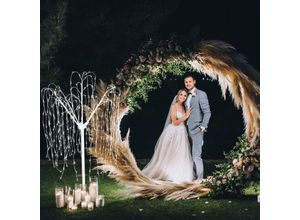 5055986155294 - Hochzeit Ballonbogen 200cm Moongate Silber 2m & Trauerweide Weiß warmweiße LEDs Weidebaum Weide Hochzeit Hintergrund Dekor Blumen Luftballon Kreis