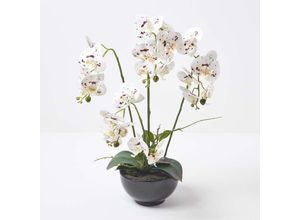 5056280712503 - Künstliche weiße Phalaenopsis-Orchidee im schwarzen Keramik-Topf 62 cm - Weiß - Homescapes