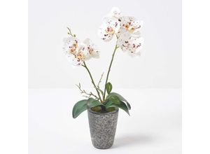 5056280712541 - Künstliche weiße Phalaenopsis-Orchidee im grauen Zement-Topf 46 cm - Weiß - Homescapes