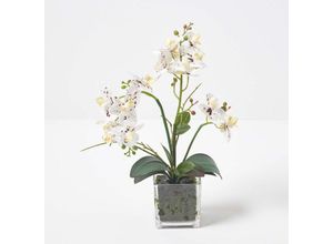 5056280712558 - - Künstliche weiße Phalaenopsis-Orchidee im Glas-Topf 42 cm - Weiß