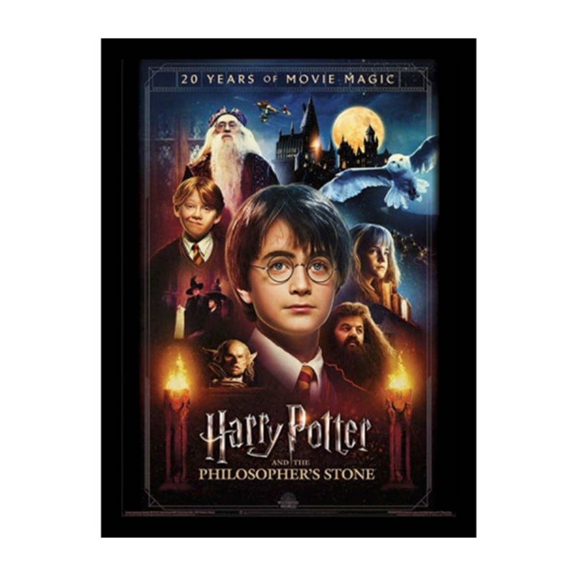 5056480322991 - Rahmen mit Leinwand für Kinder Harry Potter