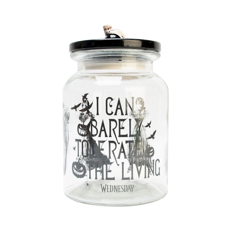 5056563719410 - I Can Barely Tolerate The Living - Vorratsglas Aufbewahrungsbox multicolor